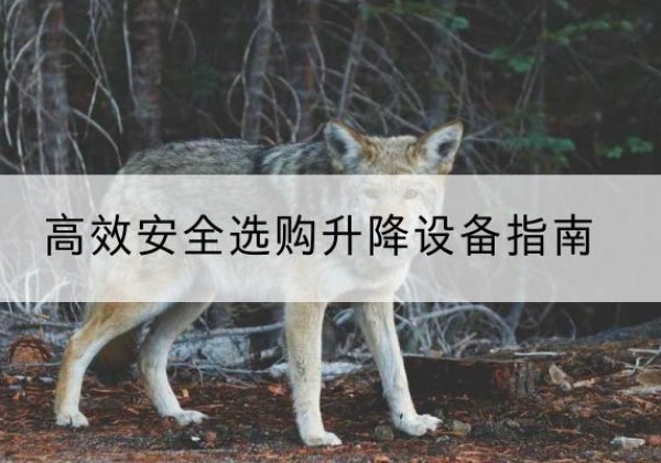 甘井子升降货梯厂家推荐-*安全选购升降设备指南