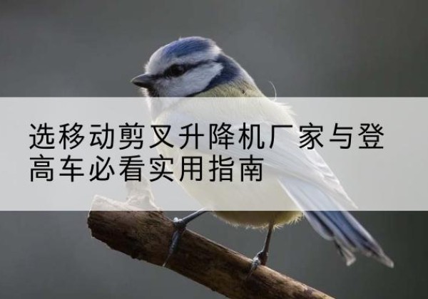 甘井子电动升降机厂家-选移动剪叉升降机厂家与登高车必看实用指南