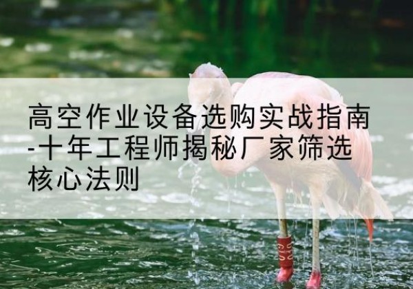 甘井子剪叉式升降机厂家-高空作业设备选购实战指南-十年工程师揭秘厂家筛选核心法则
